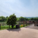 강마을공원 이미지