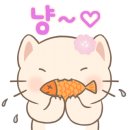 노이펫강아지고양이분양