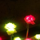 청실홍실 이미지