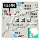 다모숲 이미지