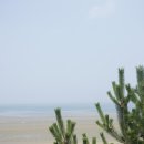 신두리횟집 이미지