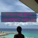 [칸쿤] '라 카사 데 라 플라야' La Casa de la Playa 내부 시설 정보와 인피티니풀 수영장 후기!
