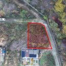 백세농장 이미지