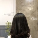 오드리햅번헤어샵