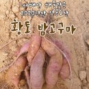 석화산농장 이미지