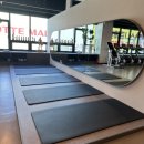 영 휘트니스존 이미지