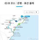 숨비아일랜드 이미지
