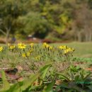 감동마을회관 이미지