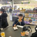 용인대 비룡 태권도장 이미지