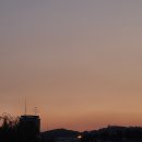 낙원양꼬치 이미지