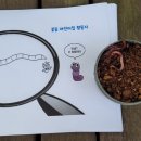 꼬물꼬물 생태텃밭 이미지