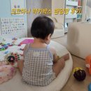 럭키사 | 코코하니 럭키박스 랜덤깡 후기