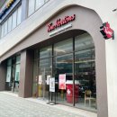 팀홀튼 커피 메뉴 가격 &amp; 도넛 신메뉴 추천 스트로베리딥