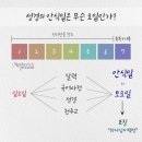 하나님의 법 안식일을 지키는 하나님의교회 이미지