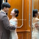 씨드미 - 안산시 상록구 용신로 393 | [공지] W-08[웨딩촬영] 대전세미앙 촬영 후기📸 / 씨드미 촬영 부케 💐/ 웨딩촬영 소품 & 준비물