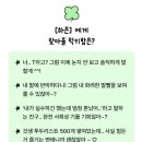 이마트24대전전민희망점 | 8월 여름휴가