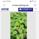 홍연2교 이미지