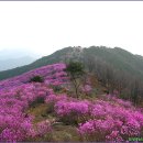 한 우리 이미지