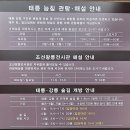 도심속 숲길 | 도심속 숲 산책... 조선왕릉 숲길 걷기(태릉~강릉 숲길)