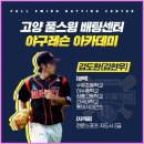 더스윙고양 이미지