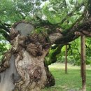 취가정1 이미지