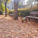 보배어린이공원 이미지