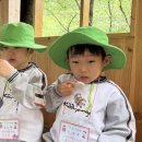달천 유아숲체험원 이미지