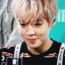 워너클린 이미지