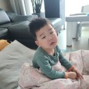 향촌 숯불 돈갈비 이미지