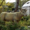 초평골 한우마을 이미지