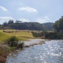 라미드관광주식회사 이미지