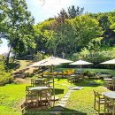 도토리케이크 이미지