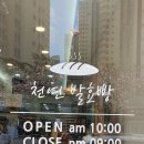 230도씨 이미지