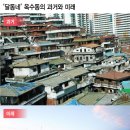 서울의 달 이미지