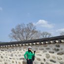 4월12일 서산농장,수선화길 번짱 무릉도원님, 총무 세레나님 이미지