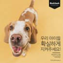 주식회사 지앤원 이미지