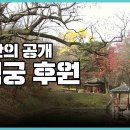 28년만의 공개, 창덕궁 후원 속 숨겨진 생명들 / KBS 같이삽시다 동영상 이미지