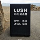 멍프레시 | [러쉬 프레시 세일] 제주도 서귀포 산방산근처 가볼만한 곳 러쉬 - 제주한정기념품, 발멍, 제품추천