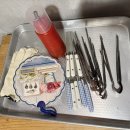 코이스테이 이미지