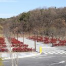 하기숲 캠핑장 이미지