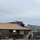 소쿠리 | 강릉 주문진 카페 강냉이소쿠리 솔직후기 | 옥수수 아이스크림 맛집