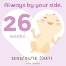 [혼전임신 26주차 일기] 몸무게 앞자리 바뀜, 변비 해결템 추천, 미친태동, 아기용품 물려받기, 실내싸이클