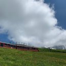 곡란로103번길 (편도) | 스위스 여행 융프라우 VIP패스 혜택 인터라켄 유람선 타기