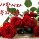 수요일 - 군산시 상지곡1길 14-6 | 수요일