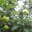 산성가든 이미지