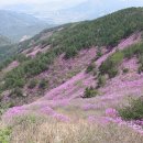 유림-1045 이미지