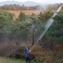 늘푸르름농장 이미지