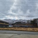 썬메일 베이커리 카페 | [청주 서원구] 청주 남이면 카페 "베니스 베이커리" 후기