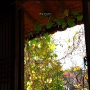 학운공원내 이미지