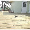 송이산장펜션 이미지